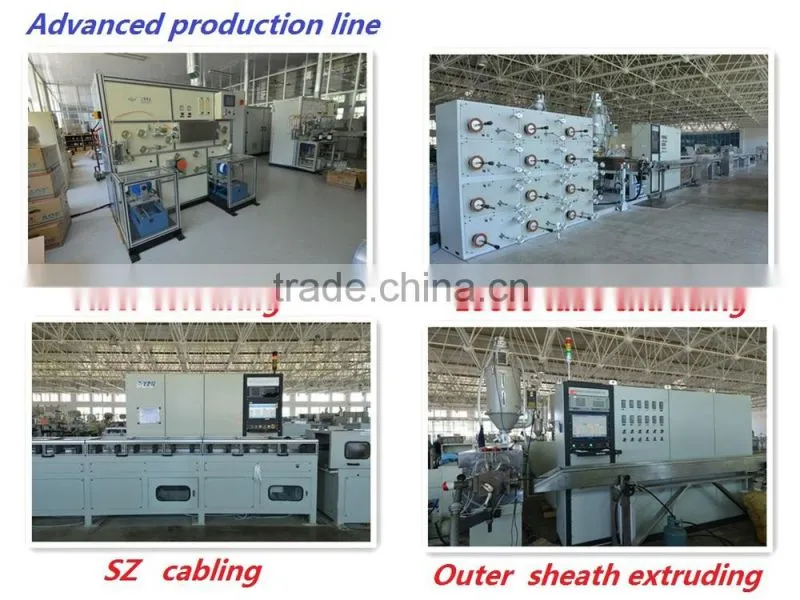 2015 Hot sell 2 Core/ 216 Core SM or MM Fiber Optics Cable -GYTY53
