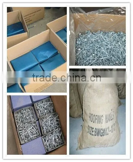 galvanized ring shank roofing nail with umbrella head