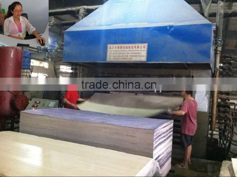 1220x2440x16mm Lamination hot press