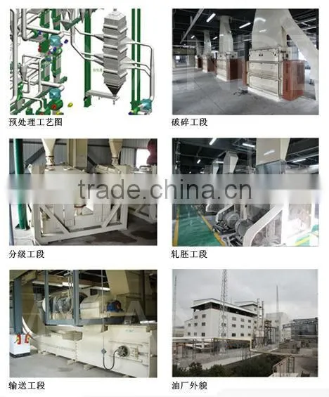 XINFENG High Quality Palm Oil Processing Machine with Competitive Price