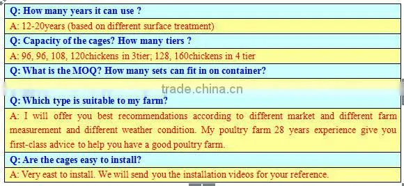 The latest design layer chicken cages