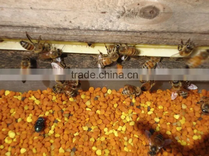 Nature pure honey in bulk or bottle packing