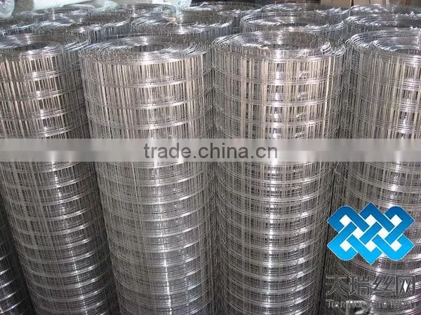 3x3 galvanized weled wire mesh (factory)