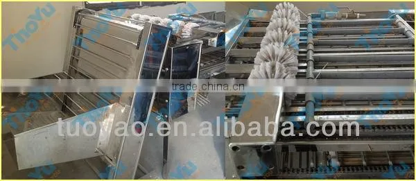 Thoyu Brand automatic eggs sheller/ shelling machine price SMS: 0086-15937167907
