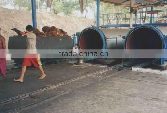 Hot sale palm oil machinery made in China