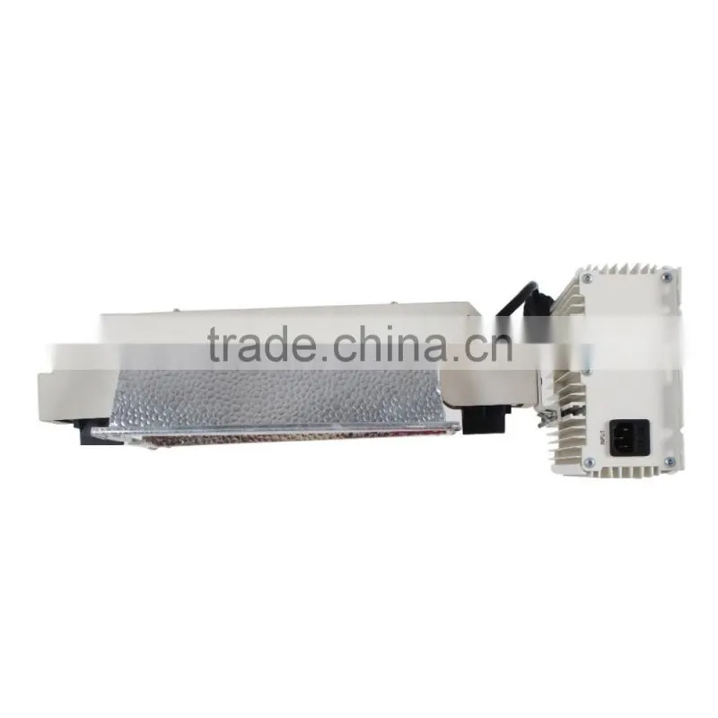 Special double host grow light for plants