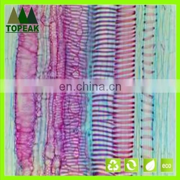 Educational medical microbiology prepared slides botany microscope slides microbiology prepared slides