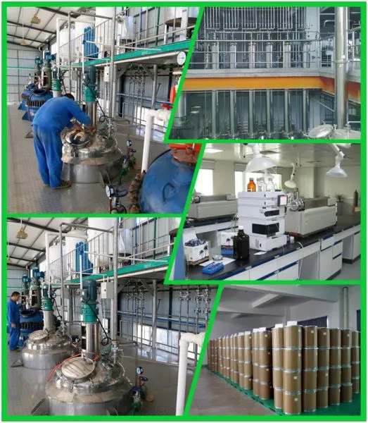 Hangzhou Xingyun Biotechnology Co., Ltd company overview - view 3