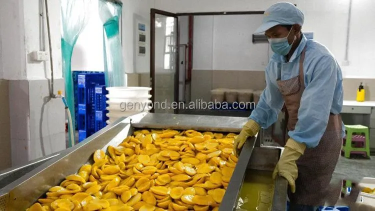 Fully Automatic Fresh mango Processing Machine for Puree Juice