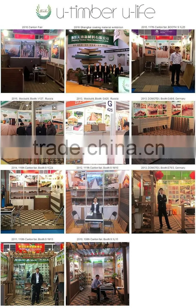 High quality low price wpc door/wpc door