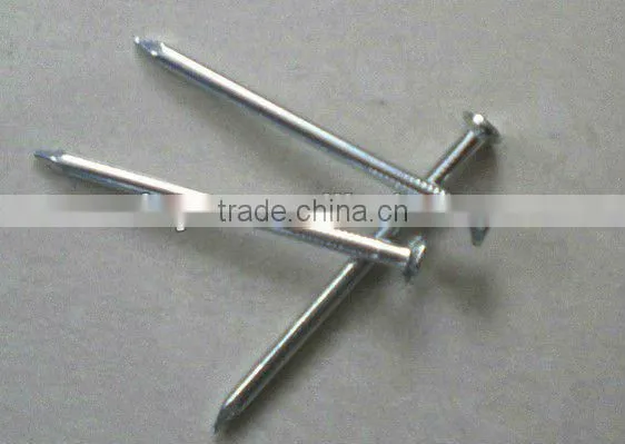 Galvanized Common Iron Wire Bright Nails Factory