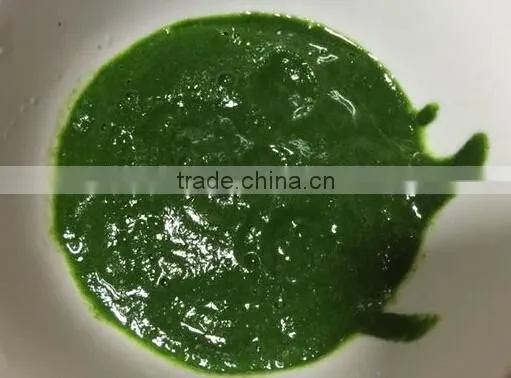 Stainless Steel Garlic Paste Grinding Machine|Large Model Mashed Garlic Making Machine