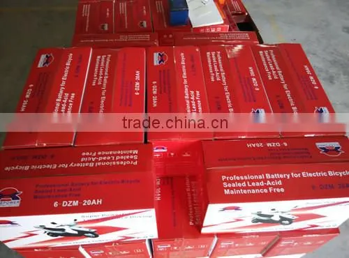 48v 12ah lead acid battery use for electric bike battery