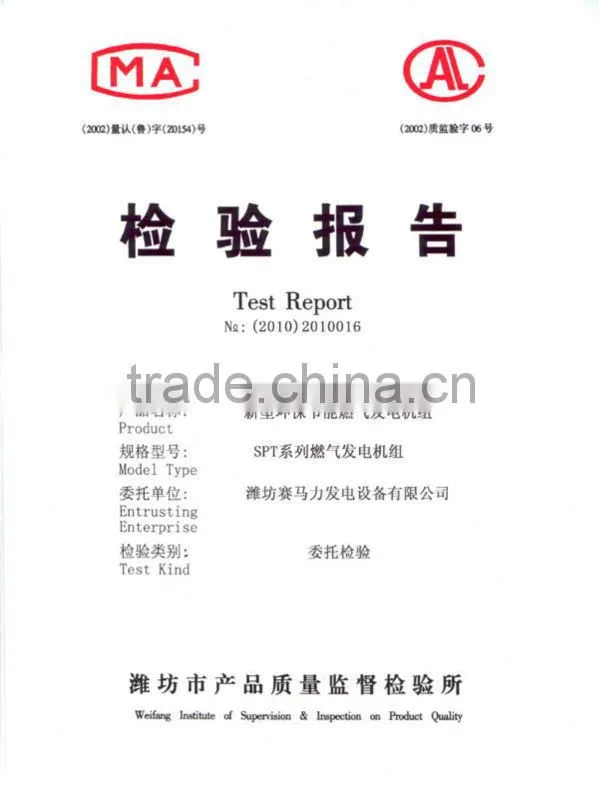 CE Approved industrial gas genset for sale!