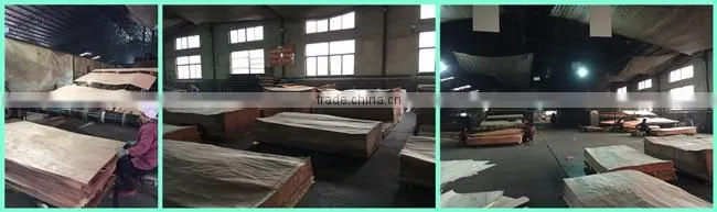 keruing veneer sheets