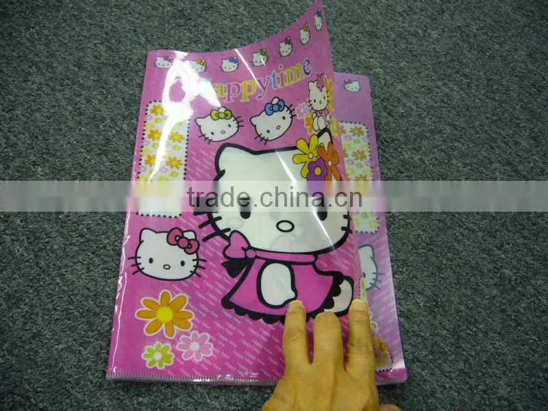 A4 clear file folder