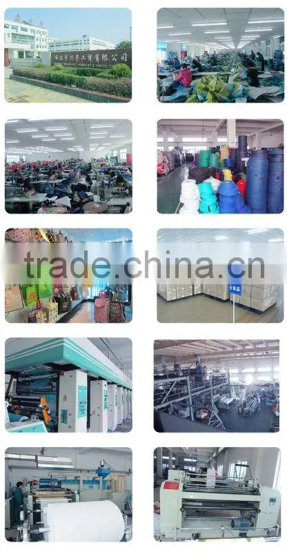 eco nonwoven bottle bag