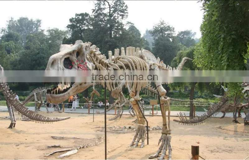 Indoor Equipment Museum Exhibition Life-Size Artificial Dinosaur Skeleton Fossils