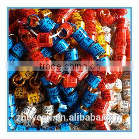 factory direct good quality canary birds for sale pet products bird aluminium bird band