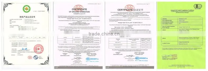 Hot sale china organic certified green tea