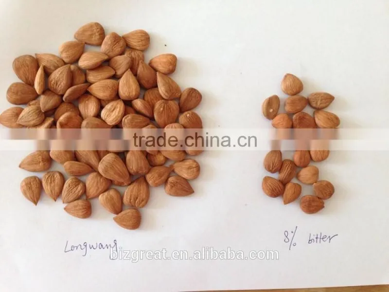 Supply with China Origin Sweet Apricot Kernels for Sales