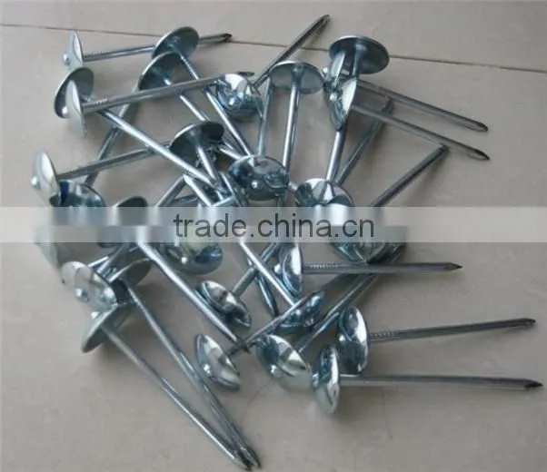 EG Roofing nails
