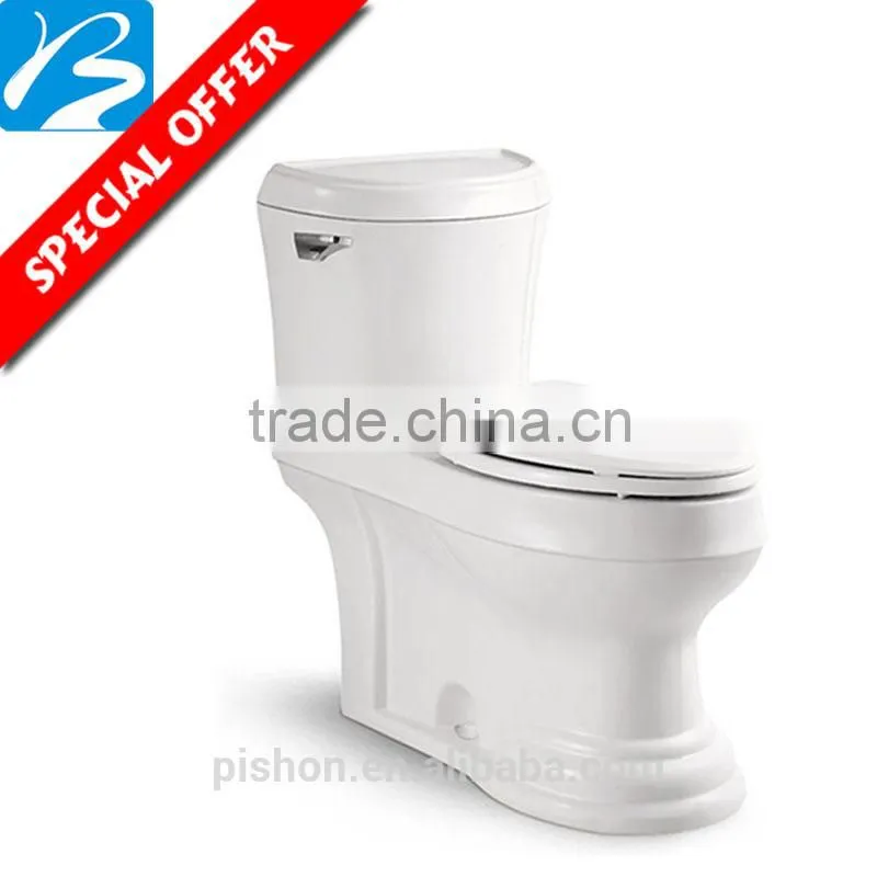 European Standard washdown two piece toilet