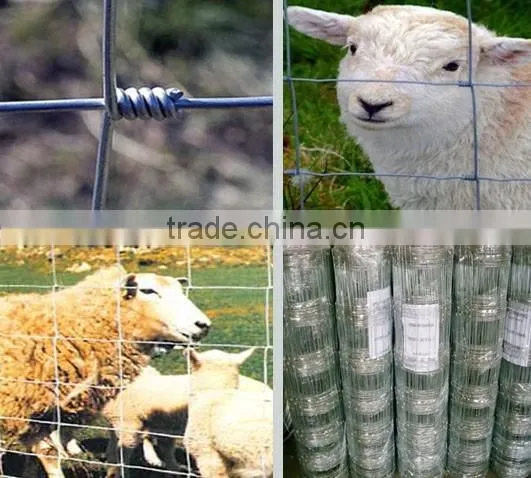 cattle horse fence manufacture of galvanized horse fence