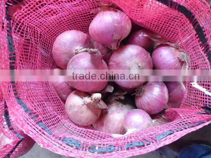 Fresh Red Onions,High Quality,Competitive Price