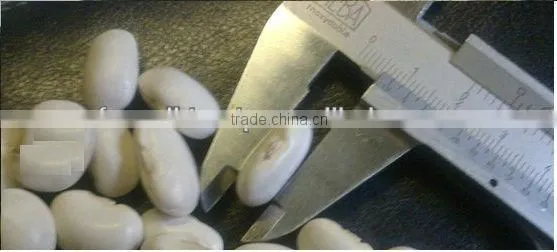 white kideny beans ( sizes 180-200 / 200-240/ 240-260)