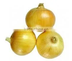 Pearl Onion