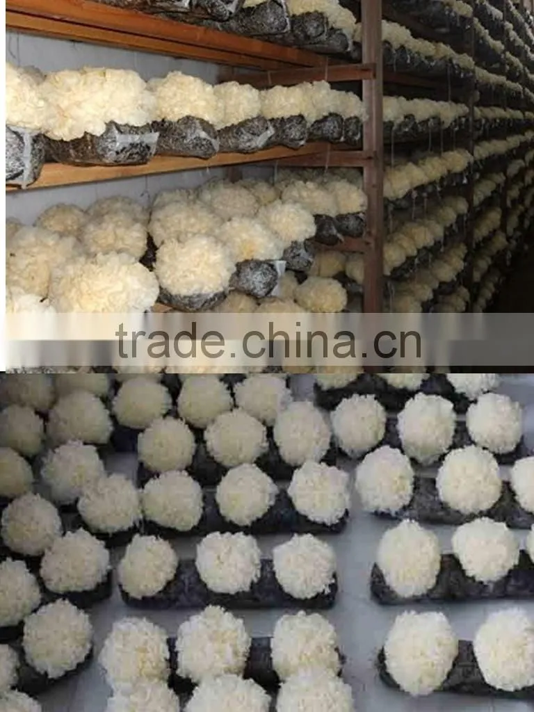 Dried bag packing white fungus/ white fungus/tremella/silver ear