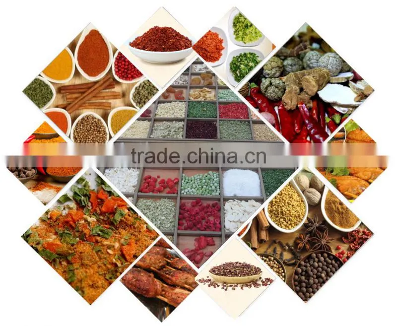 Professional Spices Manufacturer farm green,red bell pepper price for salad, soup