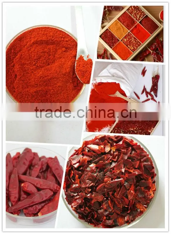 Chaotian chilli packed PP bag