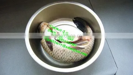 fish killer/fish kill machine/fish viscera removal machine