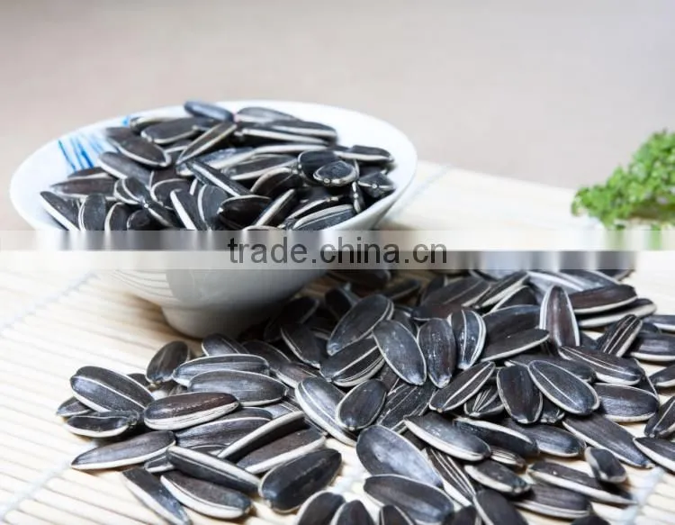 New crop top quality sunflower seeds eating