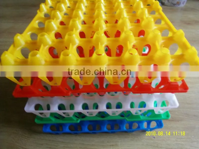 China High quality plastic egg tray for 30 chicken eggs