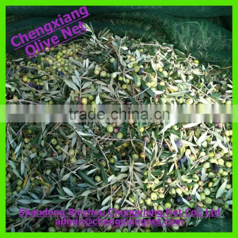 Chengxiang Factory Supply UV stabilized Olive Net