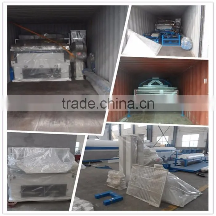 Seed calibrating (sizing) machine