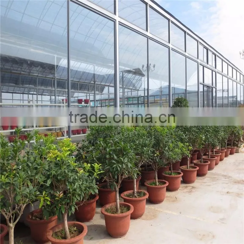 Multi Span Tunnel PE Plastic Film Hydroponic Systems Agricultural Greenhouse
