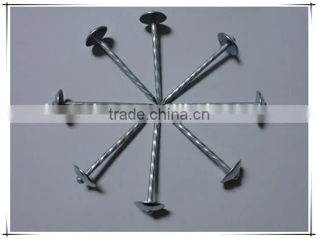 Hot-selling polished common nails / roofing nails / flat head nails
