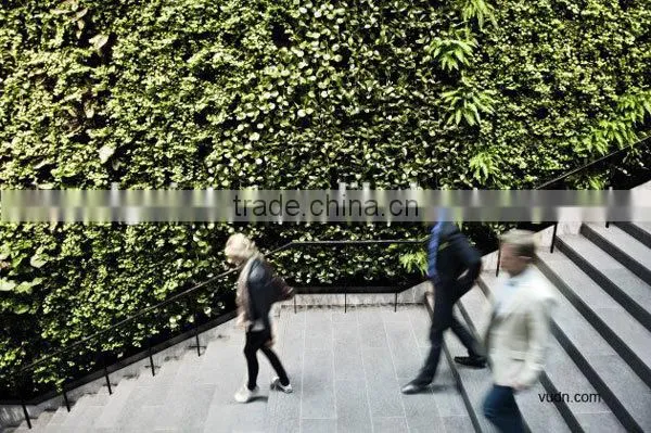 wall decore plastic plant/fake plant wall for indoor and outdoor decoration with factory price