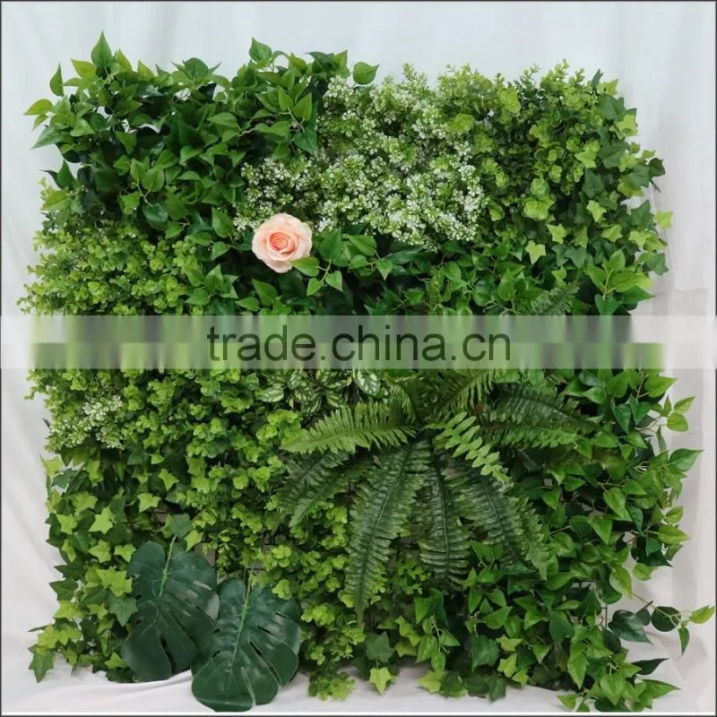 Export outdoor wall plants decoration