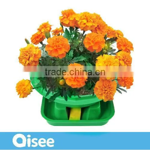 Best Selling Experimental Indoor Greenhouse Kits U-Plants