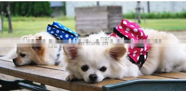 backbags with retractable dog leash