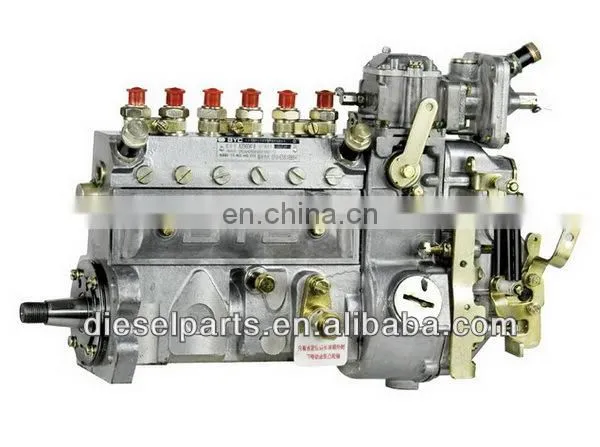 6BTA Fuel Injection Pump 10 402 446 019 10402446019 AD6019,CPES6AD95D320/3RS2110 Injection pump