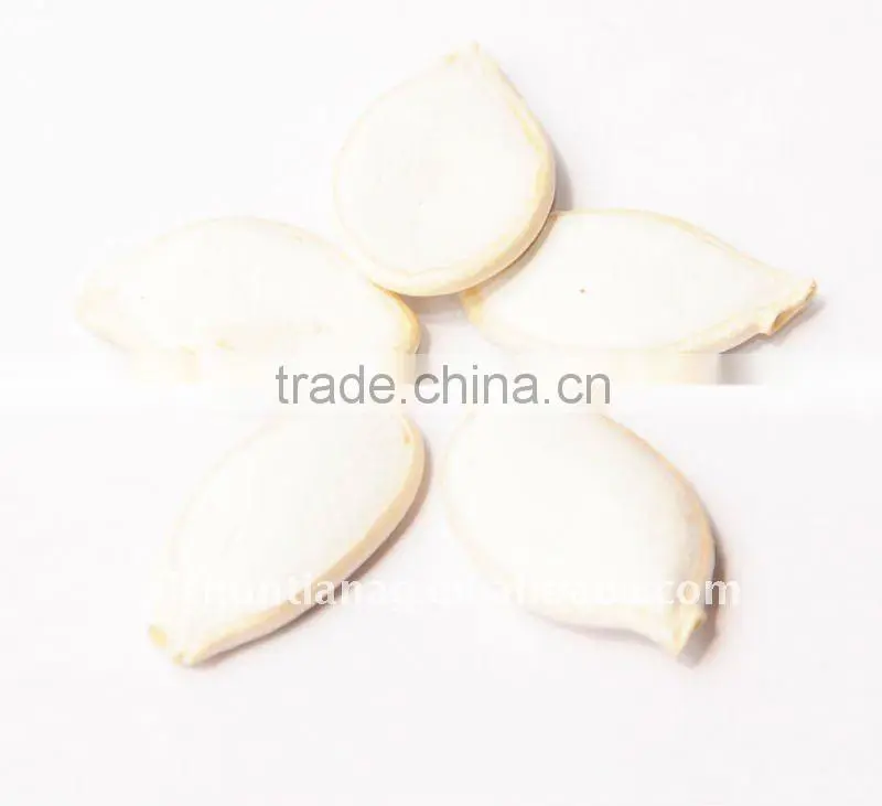 Organic Snow White Pumpkin seed
