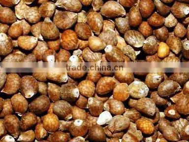 organic white perilla seeds