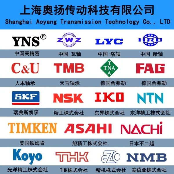 Shanghai Aoyang Transmission Technology Co., Ltd company overview - view 1
