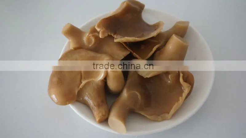 Canned abalone mushrooms slice for America